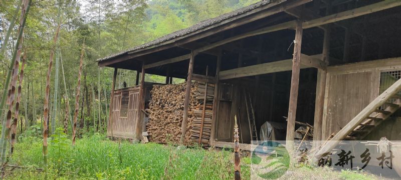 湖南益阳山居出租：寻找河畔木屋的守护者